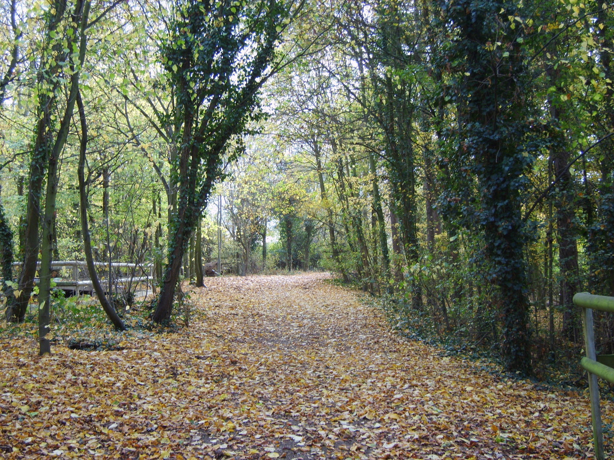 Gilwell Park Hotell Chingford Eksteriør bilde