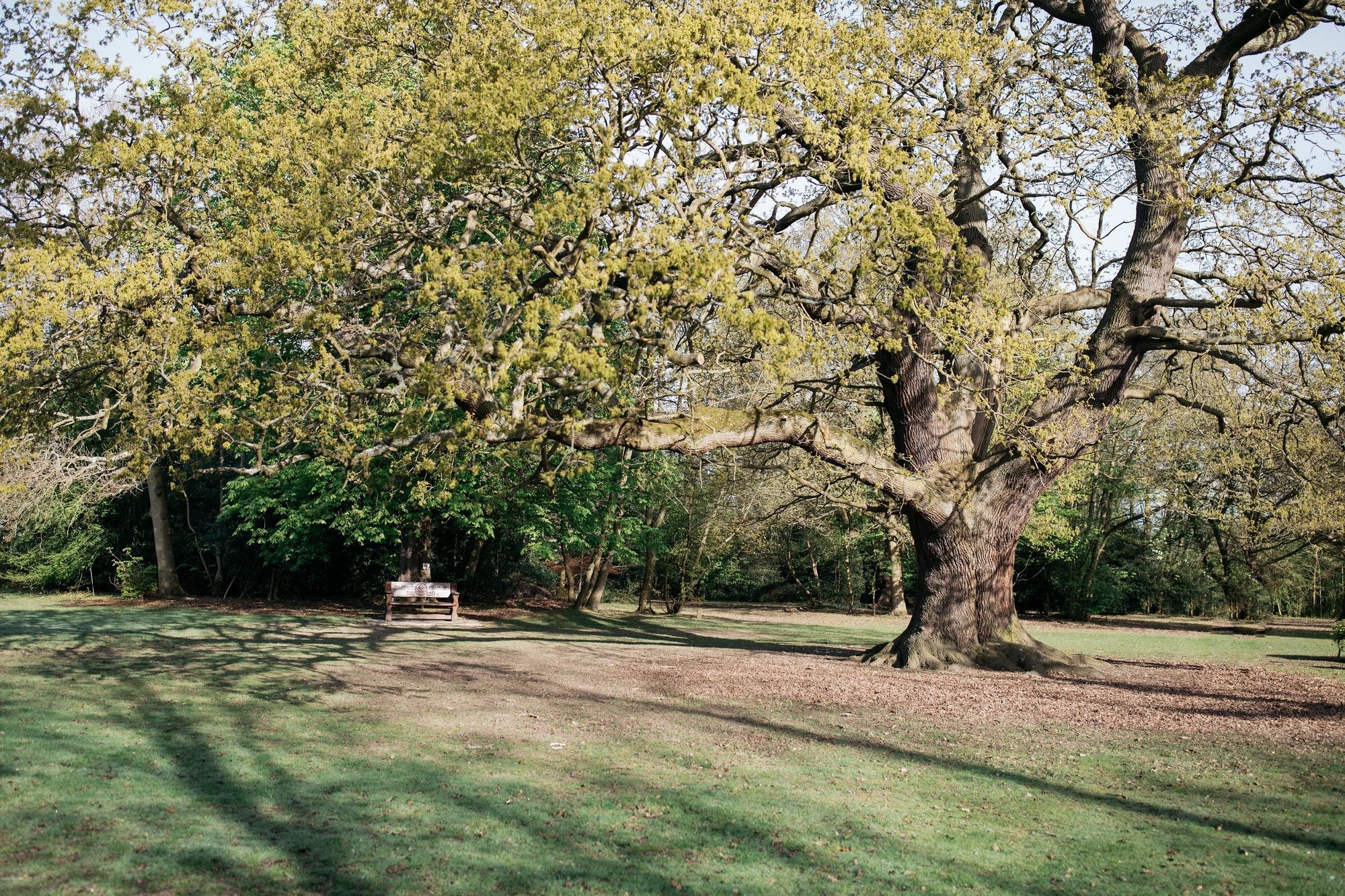 Gilwell Park Hotell Chingford Eksteriør bilde