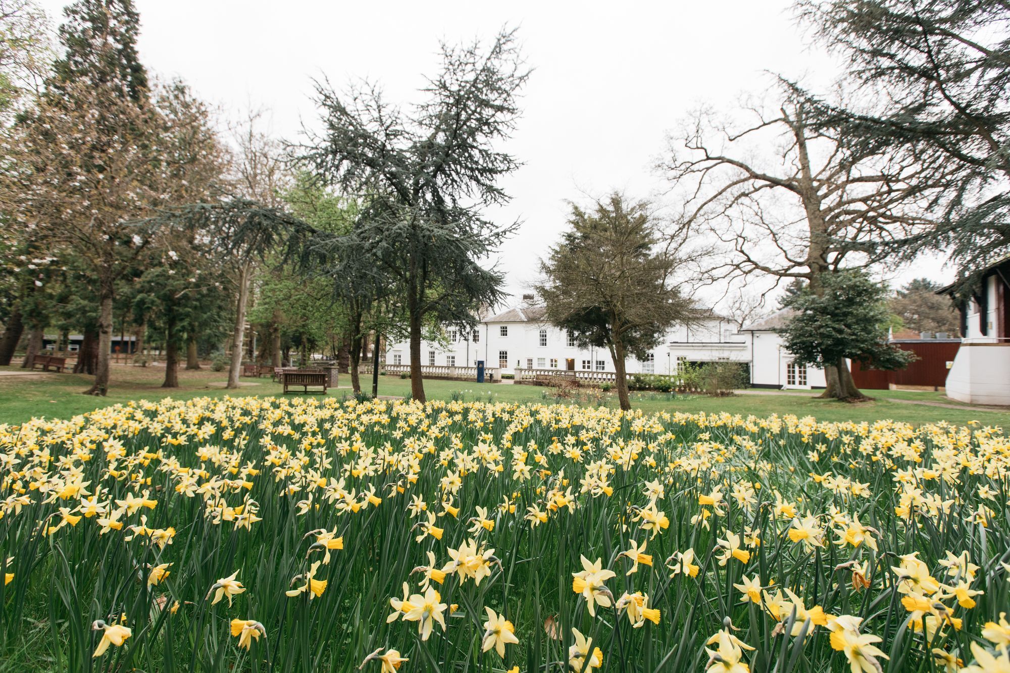 Gilwell Park Hotell Chingford Eksteriør bilde
